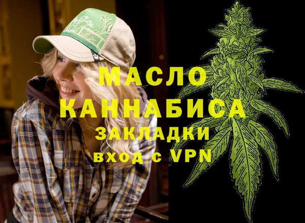 ECSTASY Гусь-Хрустальный