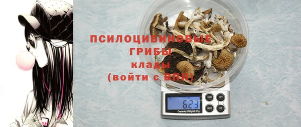 винт Гусиноозёрск