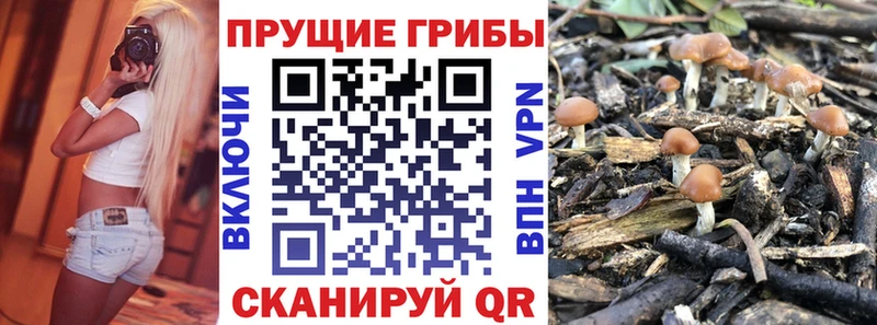 блэк спрут ССЫЛКА  Орск  Галлюциногенные грибы Magic Shrooms 